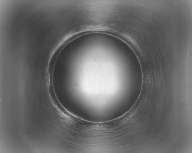 X0000072531414200607290212