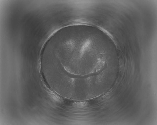 X0000072531415200607290212