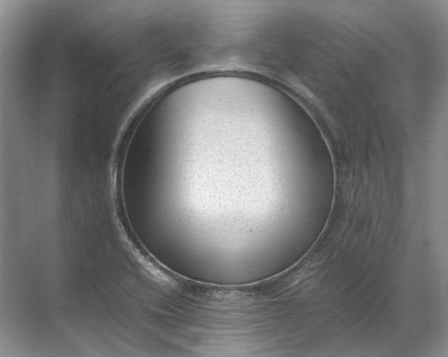 X0000072531416200607290212