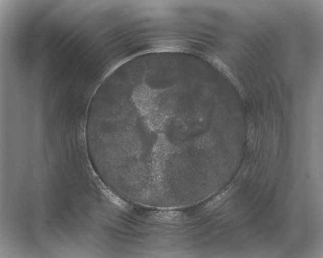 X0000072531417200607290212