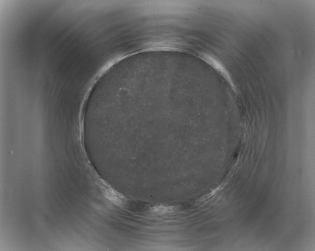 X0000072531419200607290212