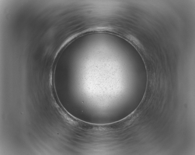 X0000072531420200607290212