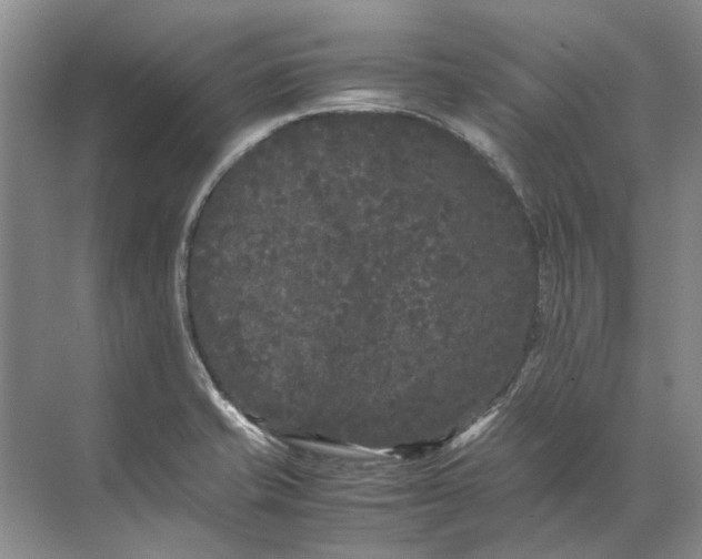 X0000072531421200607290212