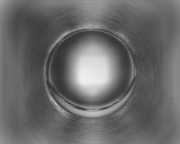 X0000072531422200607290212