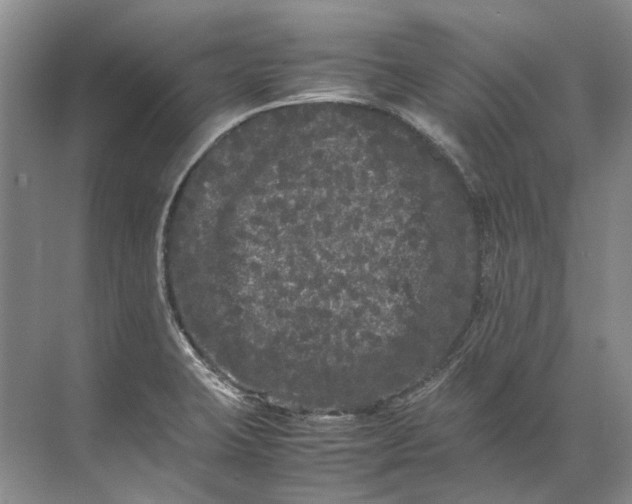 X0000072531423200607290212