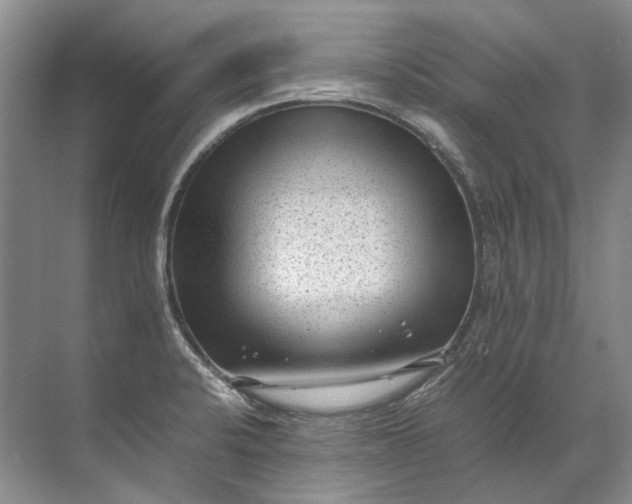 X0000072531424200607290212