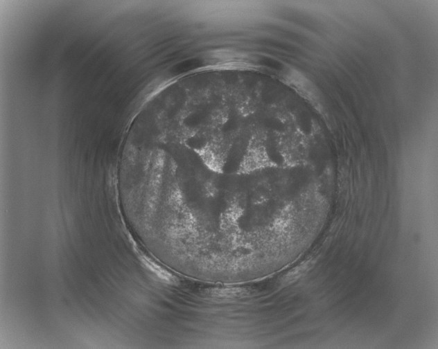 X0000072531425200607290212