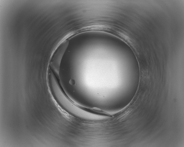 X0000072531426200607290212