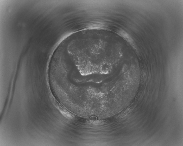 X0000072531427200607290212