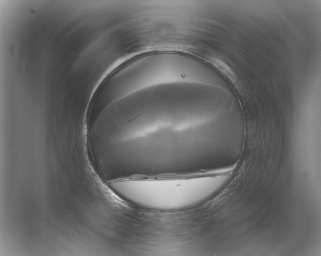 X0000072531428200607290213