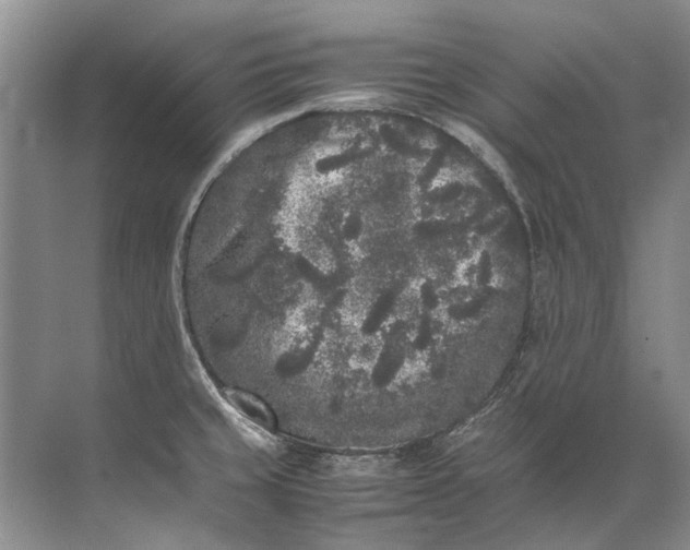 X0000072531429200607290213