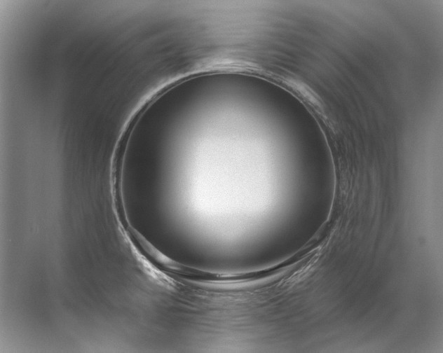 X0000072531430200607290213