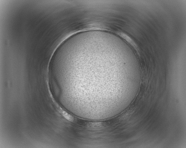 X0000072531431200607290213