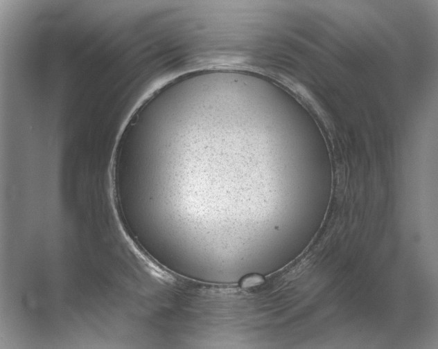 X0000072531432200607290213