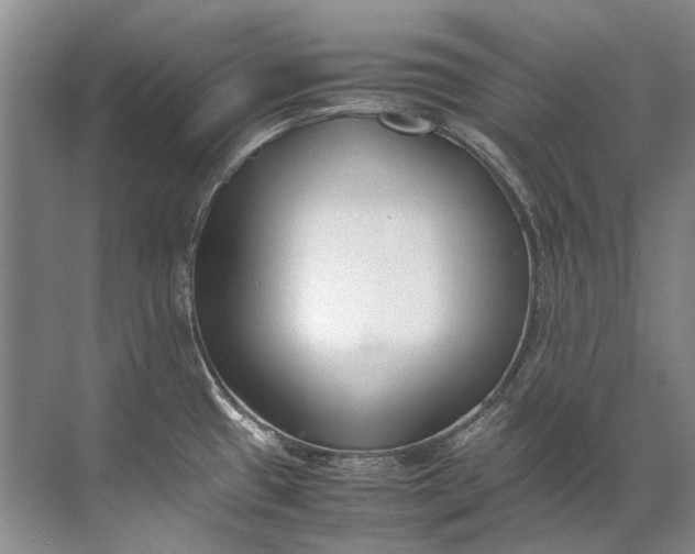 X0000072531433200607290213