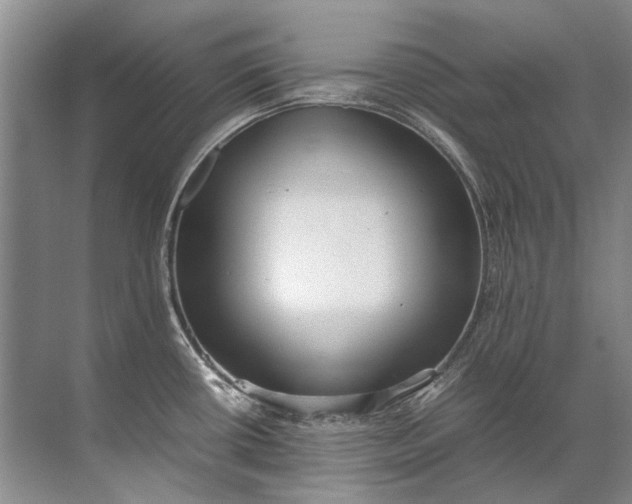 X0000072531434200607290213