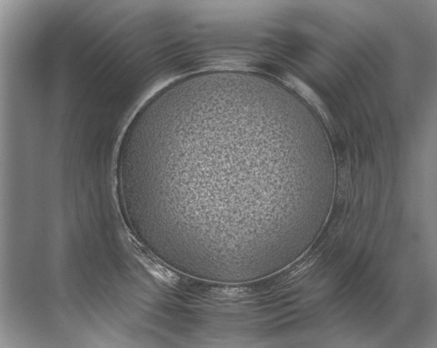 X0000072531435200607290213