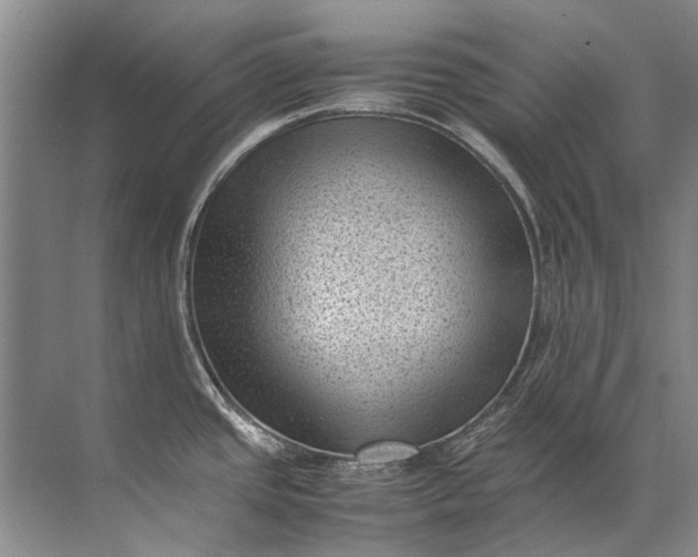 X0000072531437200607290213