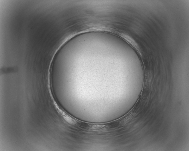 X0000072531439200607290213