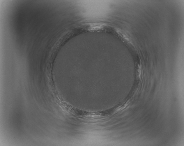 X0000072531441200607290212