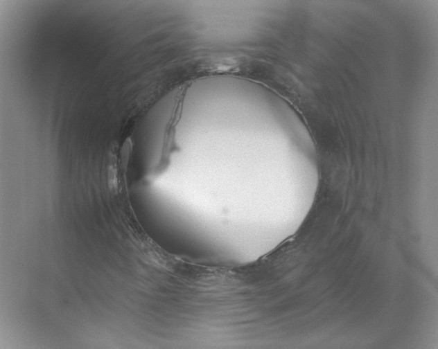 X0000072531442200607290212