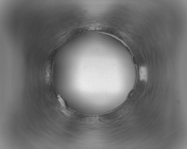 X0000072531444200607290212