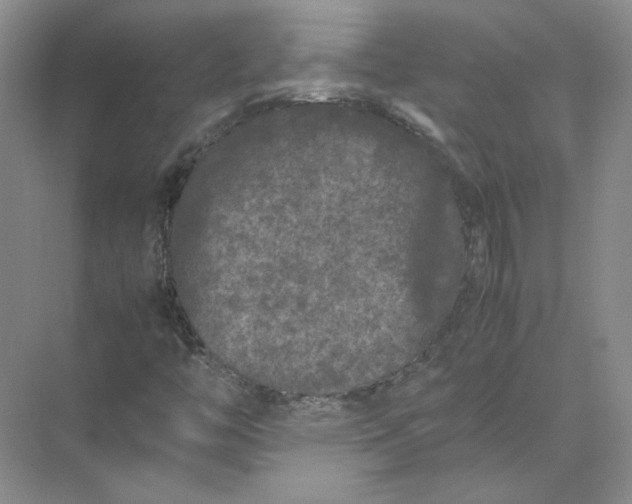 X0000072531446200607290212