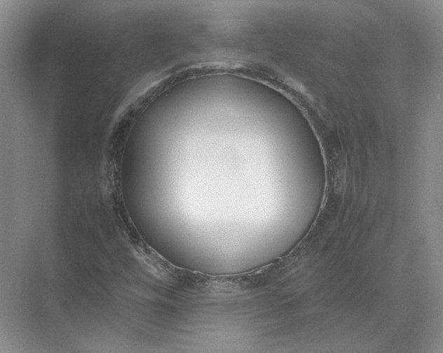 X0000072531448200607290212