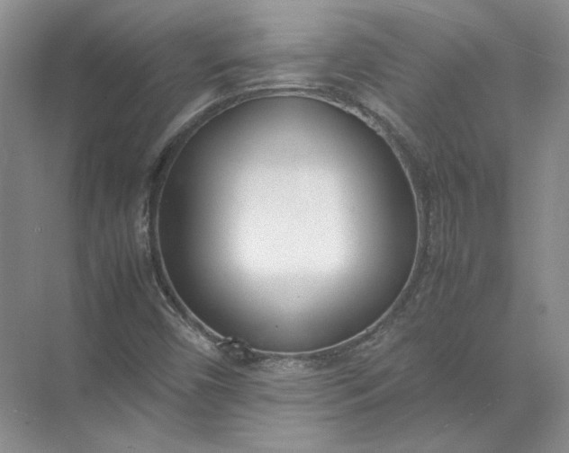 X0000072531450200607290212