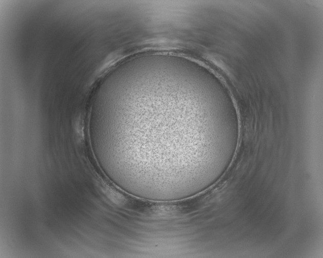 X0000072531451200607290212