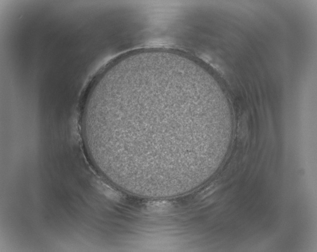 X0000072531454200607290212