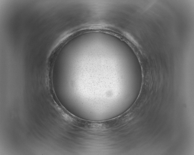 X0000072531456200607290212