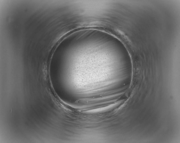 X0000072531457200607290212