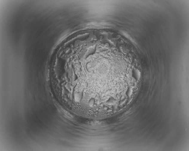 X0000072531459200607290212