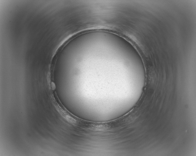 X0000072531460200607290212