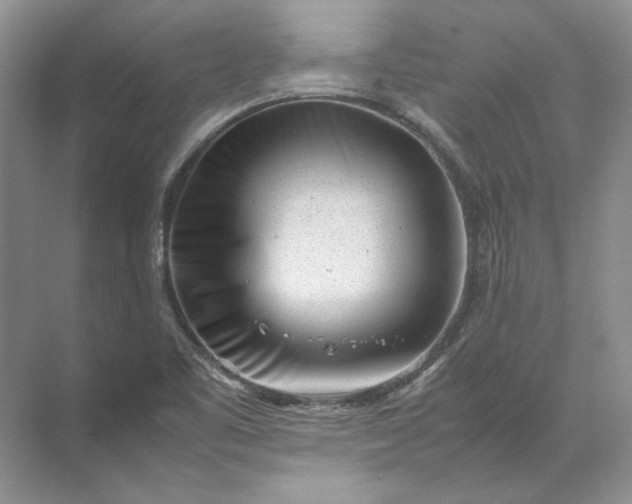 X0000072531461200607290212