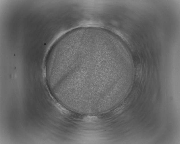 X0000072531462200607290212