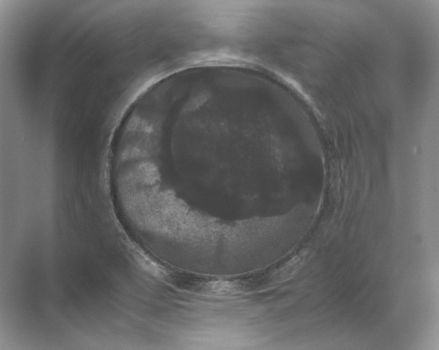 X0000072531463200607290212