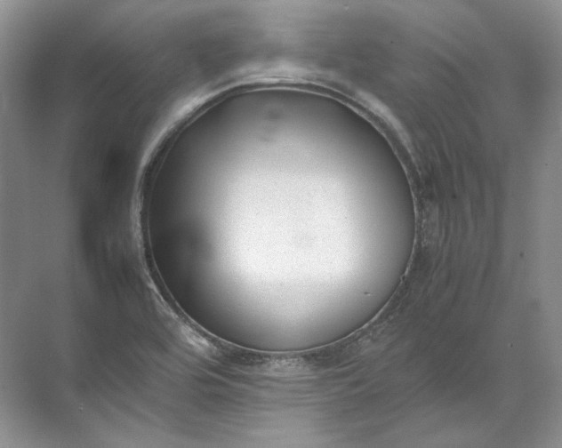 X0000072531464200607290212