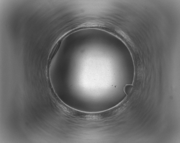 X0000072531465200607290212