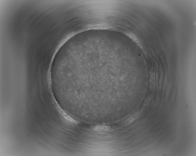 X0000072531466200607290211