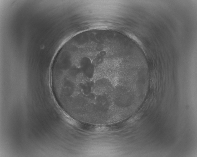 X0000072531467200607290211