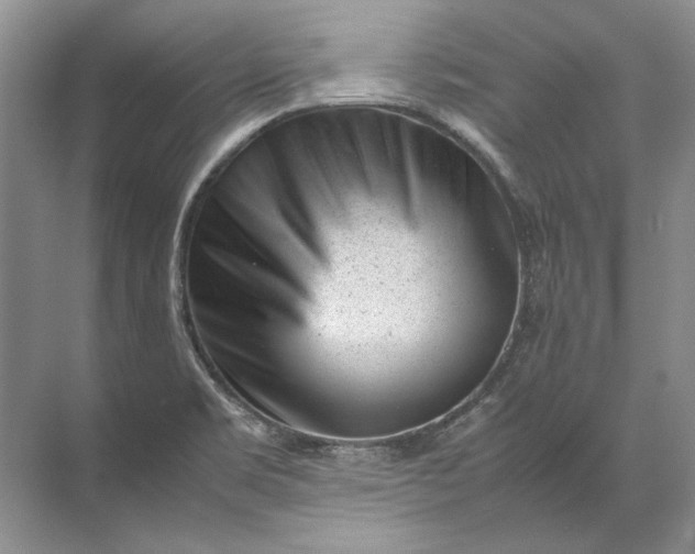 X0000072531469200607290211