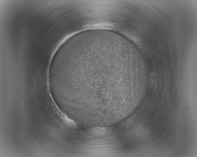 X0000072531470200607290211