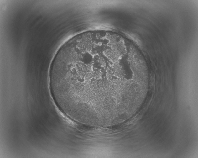 X0000072531471200607290211