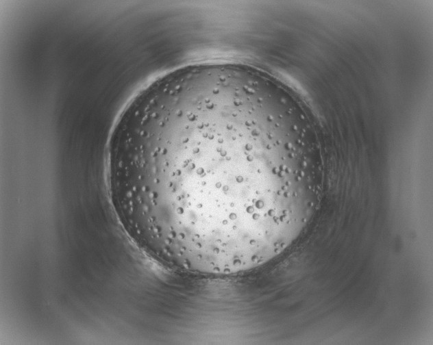 X0000072531472200607290211