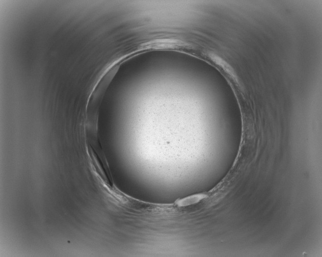 X0000072531473200607290211