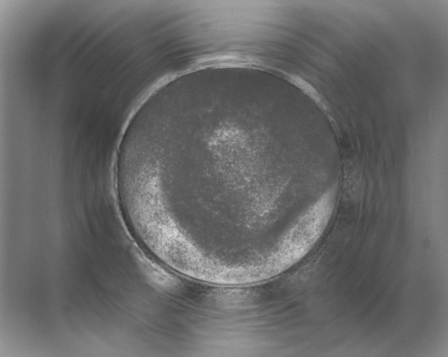 X0000072531474200607290211