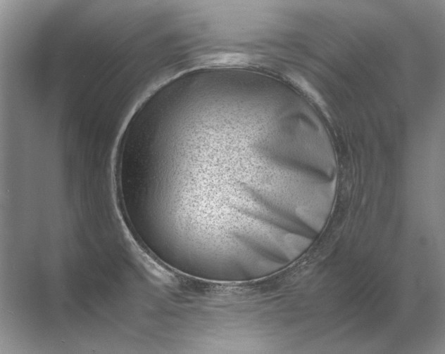 X0000072531475200607290211