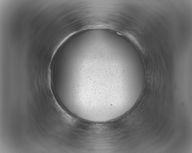 X0000072531476200607290211